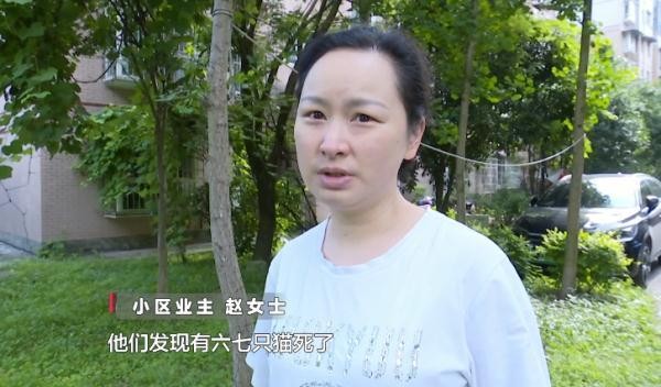 十几只宠物一夜之间离奇死亡小区业主很担忧！警方已介入→