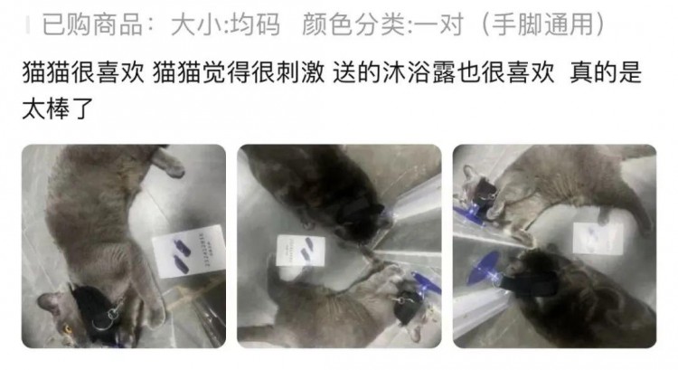 离谱！情趣用品下面的买家秀竟然全是猫猫