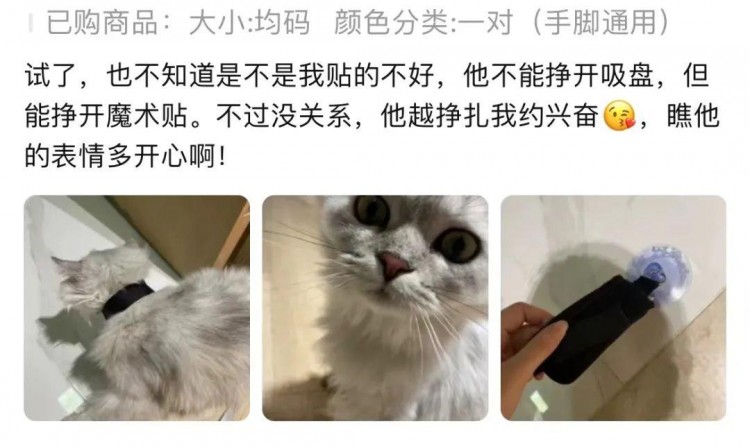 离谱！情趣用品下面的买家秀竟然全是猫猫